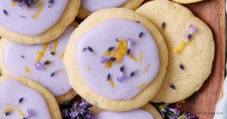 A plate of freshly baked lemon lavender cookies with a zest of lemon garnish.